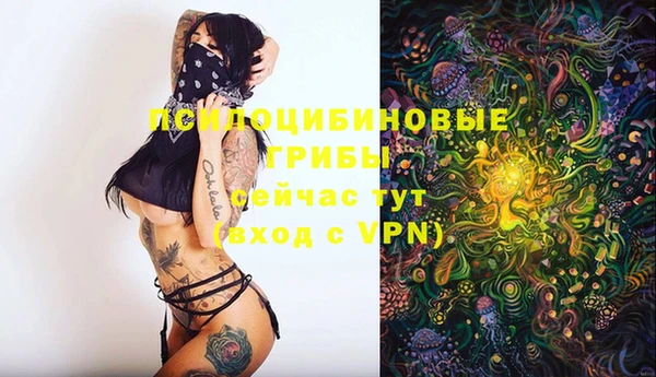 мдпв Балабаново