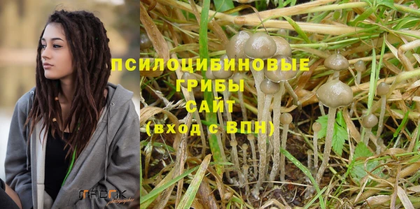 мдпв Балабаново