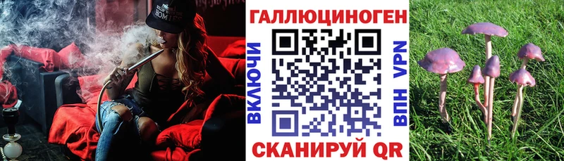 Галлюциногенные грибы Psilocybine cubensis  Кодинск 